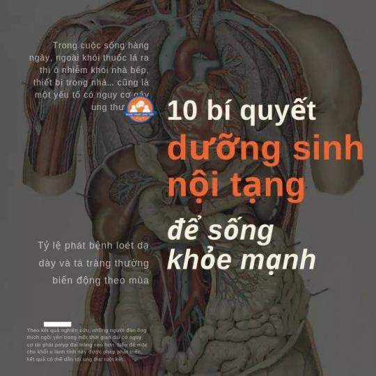 10 BÍ QUYẾT DƯỠNG SINH NỘI TẠNG QUAN TRỌNG ĐỂ SỐNG KHỎE MẠNH