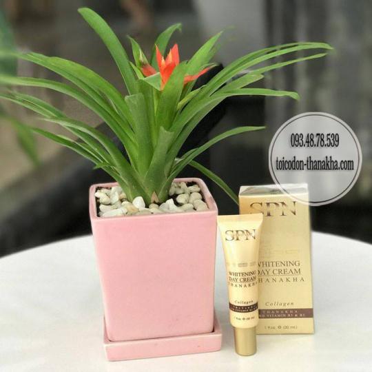 Phấn trang điểm Thanakha SPN Sun Block 3 Way Cake