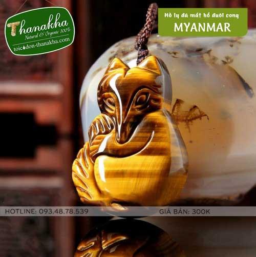 Hồ ly đá mắt hổ Myanmar