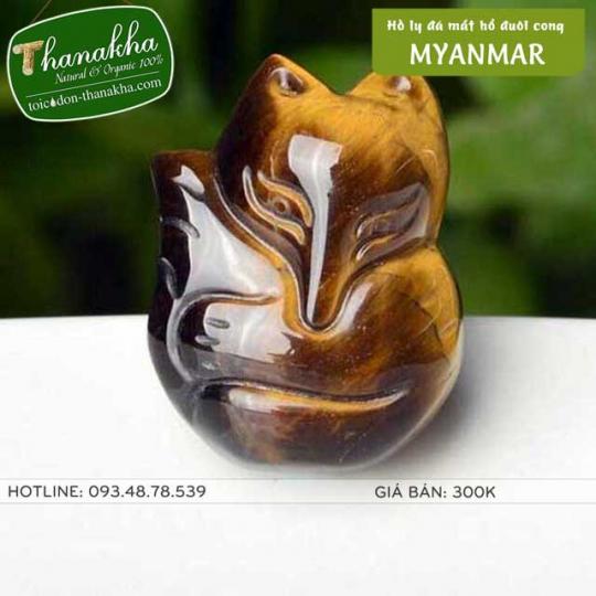 Hồ ly đá mắt hổ Miến Điện