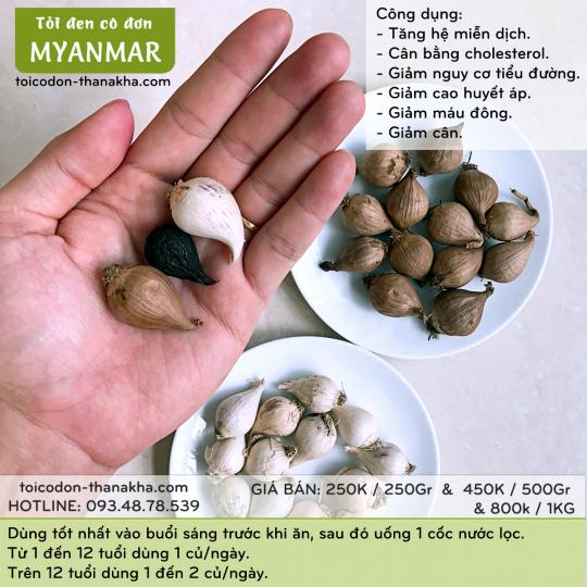 tỏi đen cô đơn Myanmar