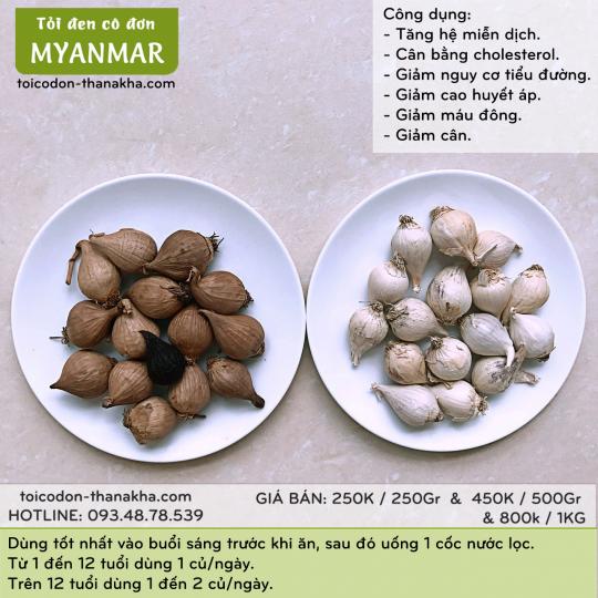 tỏi đen cô đơn Miến Điện