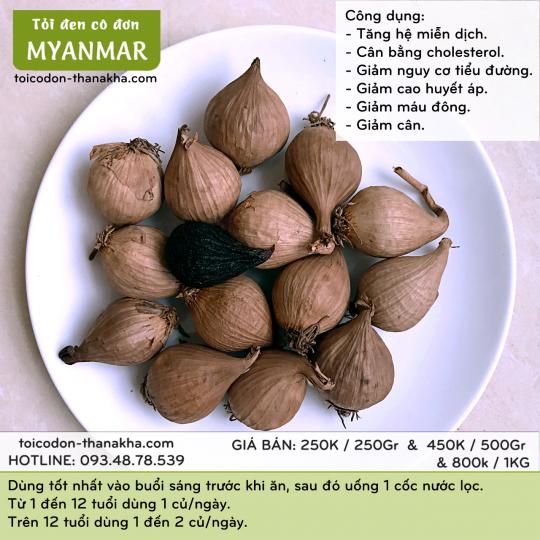 tỏi đen cô đơn Myanmar